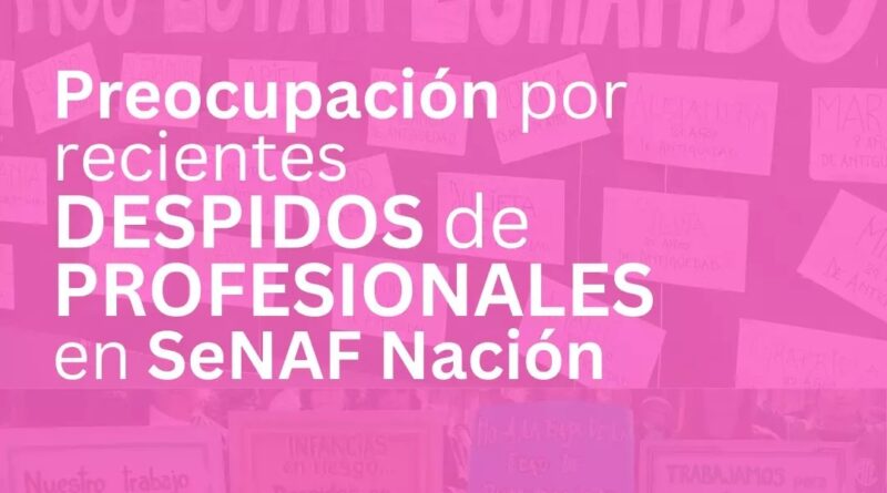 En relación a los recientes despidos masivos de profesionales 