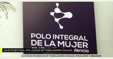 «Si estas profesionales no están, no habrá espacio que sostenga a mujeres víctimas de violencia de género»